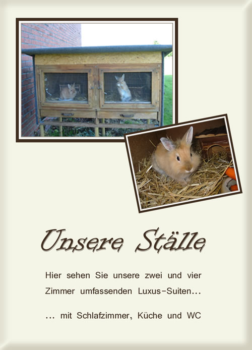 Unsere Ställe