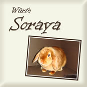 Würfe Soraya